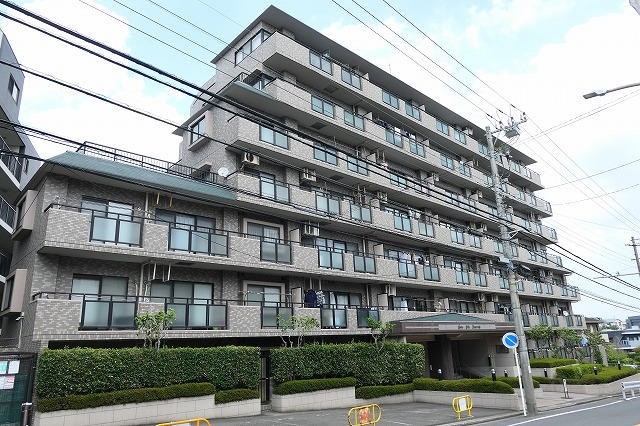 22504画像