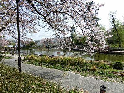 白幡池公園:5分