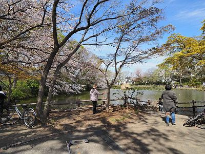 菊名池公園：2分