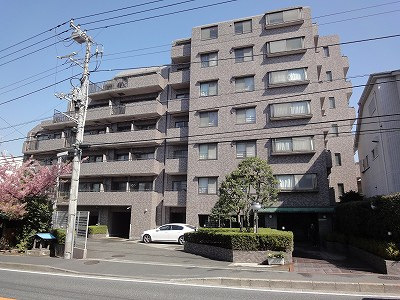 12146画像