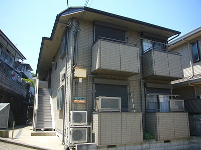 509画像